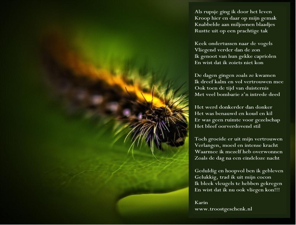 troostgeschenk's tweet photo. Besef hoe bijzonder speciaal je bent! 
#gedicht http://t.co/h2CEWVhY67