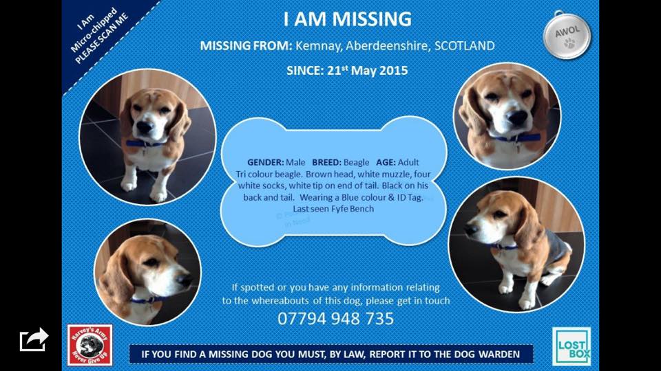 Original 106 Aberdeen tweet media