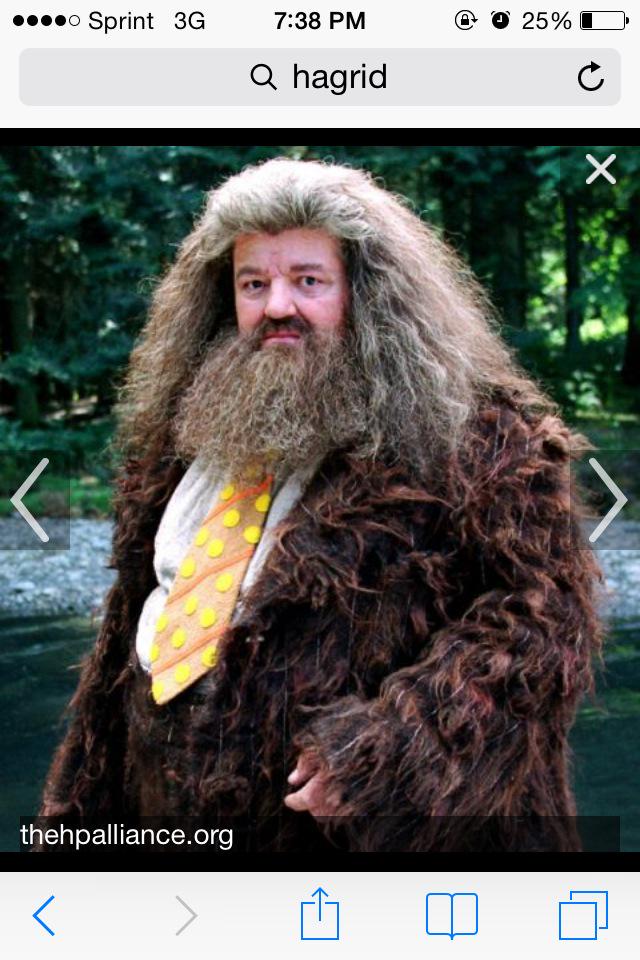 TheOreoMan's tweet photo. Hagrid or gabby? http://t.co/Ysb8tb6oMj
