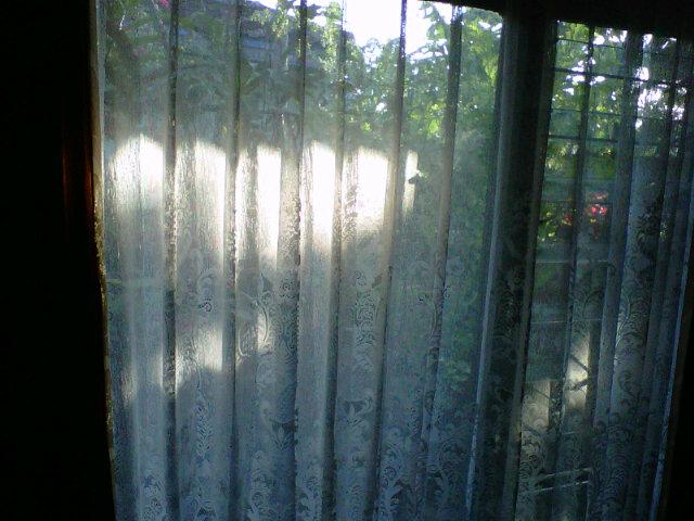 AwpAngga's tweet image. Segarnya udara depan kamar (go green) di sertai sinar matahari yg begitu hangat #NuhunGusti O:) #BDGjuara