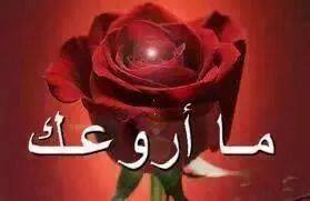 uiilliilu tweet picture