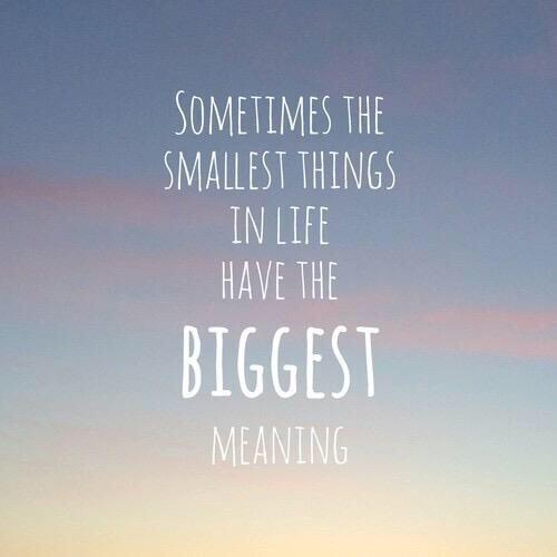 lovecutestories's tweet photo. Sometimes the smallest things in life have the biggest meaning. http://t.co/lmApVbTz0p
