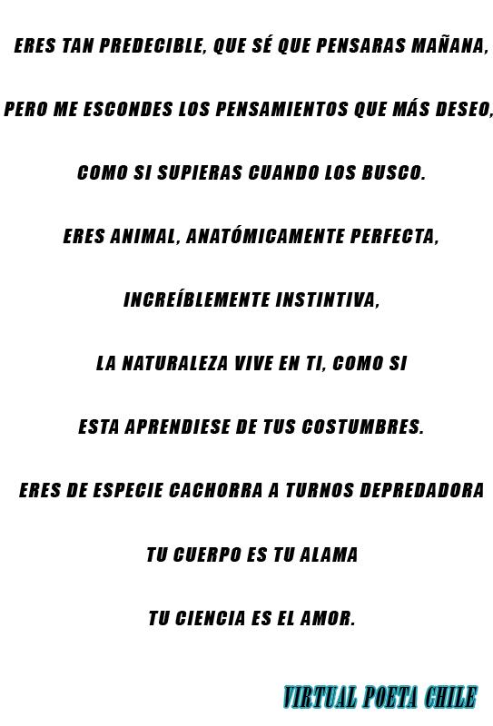 VirtualPoeta tweet picture