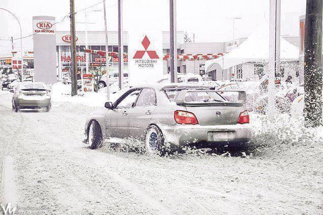 SubiexNation's tweet photo. What a monster! 😮 😳 😲 http://t.co/m3yYqSA3tp
