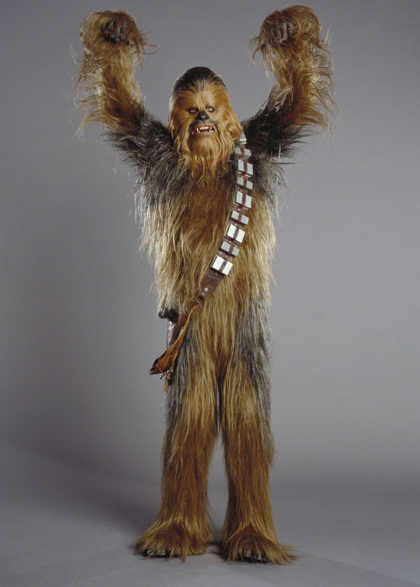 A big Happy Birthday to Peter Mayhew, the man behind the wookie 