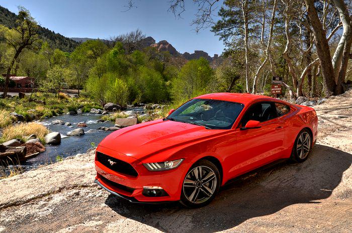 dailymustangs tweet picture