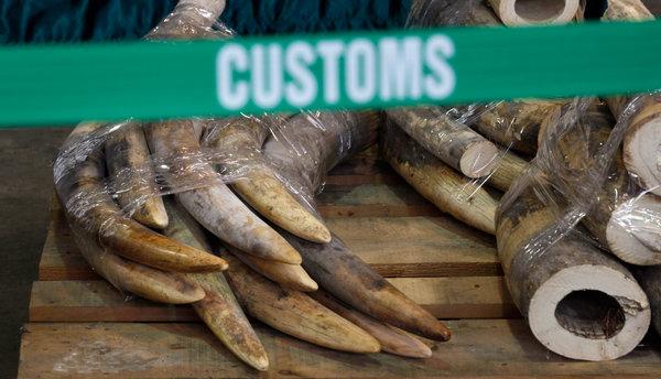 AllenPhil_'s tweet image. Changing the world, one story at a time ow.ly/NabiN  #sparkingchange #VulcanProductions