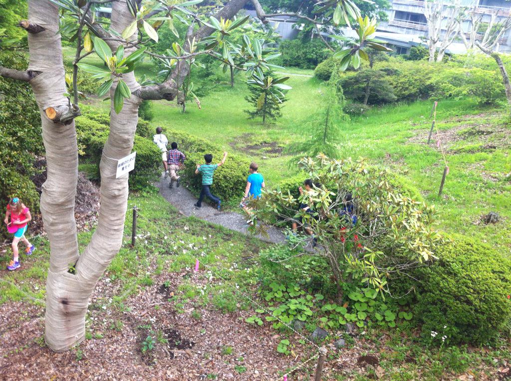 Namastececi's tweet photo. Freedom! Kids enjoying some free play #gr4camp @yis @ShanelCatasti http://t.co/P7wd4YRhk6