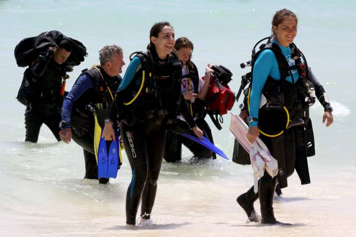 #Dato Aumenta turismo galo en #Cancún gsip.se/1Ae0c4a