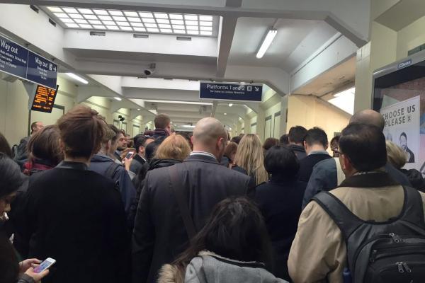 Wimbledon Times tweet media