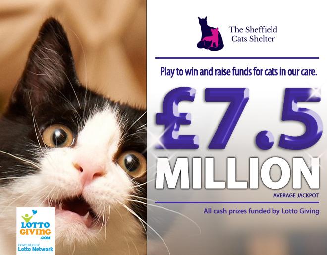 CatsShelter's tweet photo. Sheffield Cats Shelter Lotto, Win Life Changing Prizes &amp; help us raise funds http://t.co/Rqp8yRxuxC #sheffieldissuper http://t.co/vPVbgw01VL