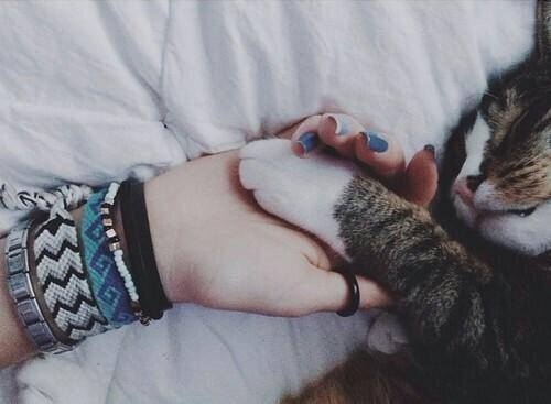 RelatabIeLmao's tweet photo. rt if you want this kind of relationship http://t.co/oNc9LeV2mP