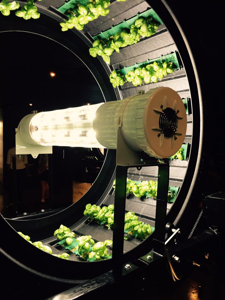 PippoDuCeTomasi's tweet photo. #basilicodelfuturo #ExpoMilano2015 @Falcone_News http://t.co/9GfzcGDM3k