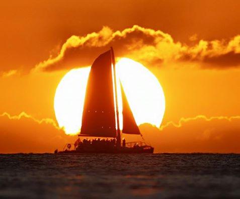 VCS700014's tweet image. Hawaii for vacation