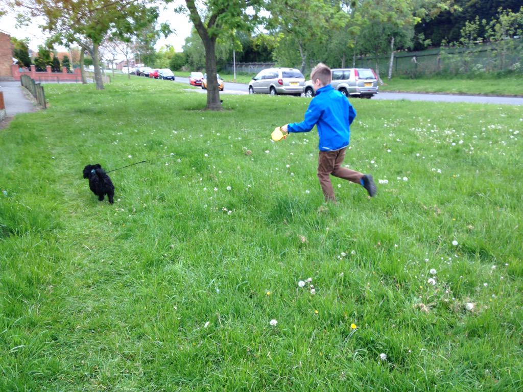 michelleOTderby's tweet image. #otcomm #greenspaces healthy active family fun