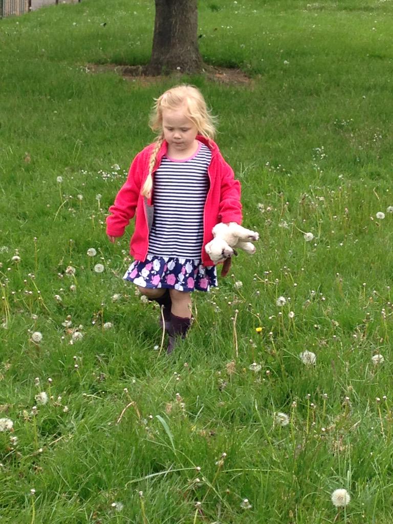 michelleOTderby's tweet image. #otcomm #greenspaces healthy active family fun