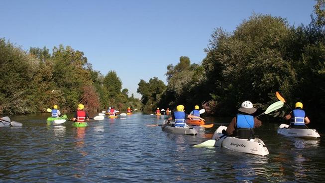 PaddleLARiver's tweet photo. Glide above the dirt bottom of our urban waterway #LARiver. Tickets on sale now!   http://t.co/qEyzkGnoGJ http://t.co/1z03NND7Fb