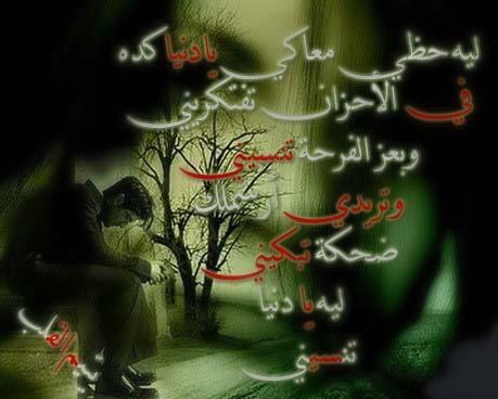 AlsafiJaafar's tweet photo. http://t.co/AplOV396SC