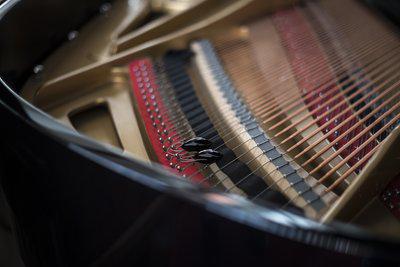 Meet Lucie, our jewelry designer: She adds her modern touch to Petrof’s tradition of piano making to create #elegance