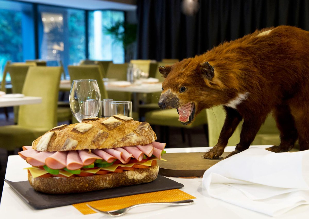 Our caption contest ends Friday! See the pics, have a go & win a city weekend: http://t.co/FW3XudnutV @PullmanSydHP http://t.co/KMPlwhE9ml