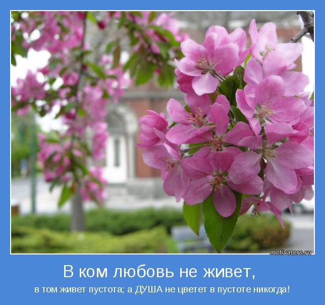 Надя Серебренникова (@nadejdasil) on Twitter photo 