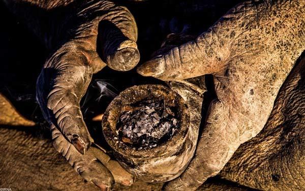 mutnedjmet's tweet photo. This 80 Year Old Man Has Not Taken A Bath In 60 Years. Just Wait Til You See Him… Whoa.  http://t.co/7v5NCOyTRv http://t.co/wYOdIMb74a