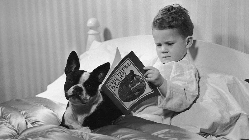 chantallipp's tweet photo. 4 Books Every Dog + Cat Owner Needs To Read via @ogmag http://t.co/sYmy3j43JT #pets #home http://t.co/86Z182qTgg