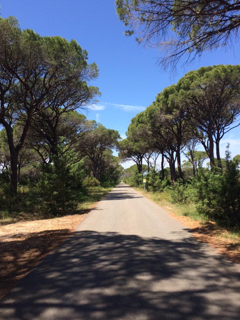 cheit__'s tweet photo. #parcodellamaremma #clildaysrosmini #clildaysrosmini #☀️ http://t.co/Mb8g08iGVc