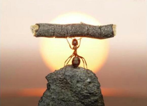 alma_epx's tweet photo. No sabes lo fuerte que eres, hasta que ser fuerte es tu única opción! Confía en ti! Yo lo hago 😚 @crispalo2 #éxito http://t.co/wS5uJv63kj