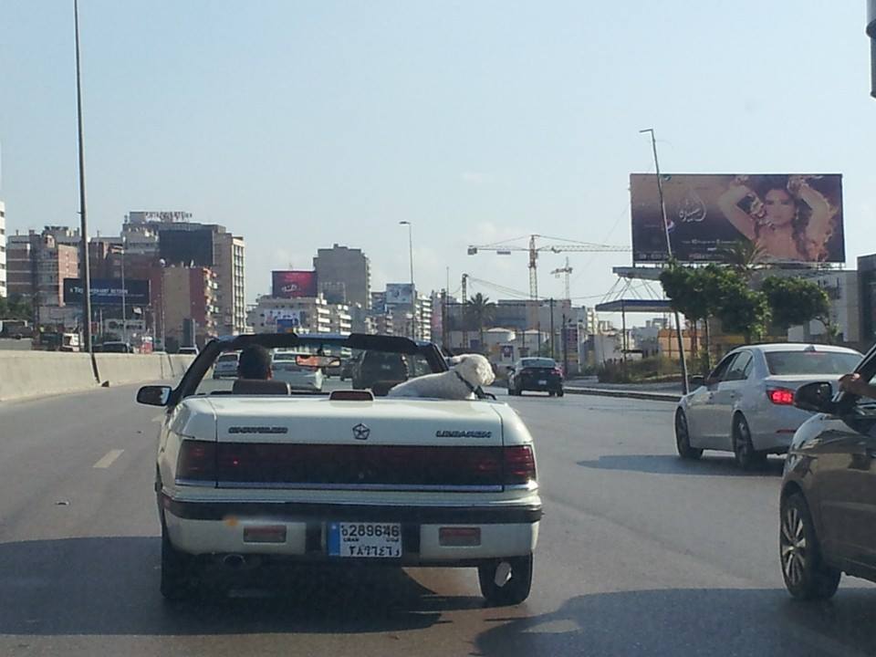 Bassel Ghorayeb tweet media
