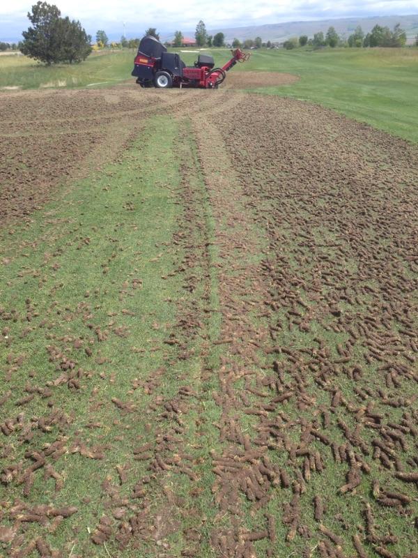 SeanAHoolehan's tweet image. Not the greatest picture, but some how we found a buried golf ball in the collar of #18 green yesterday.