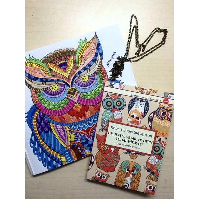 mpa2017's tweet image. #renklersokagi #renklerindünyası #indigokitap #büyükleriçinboyama #benimutluluğaboya #bahçe#mutluyumçünkü