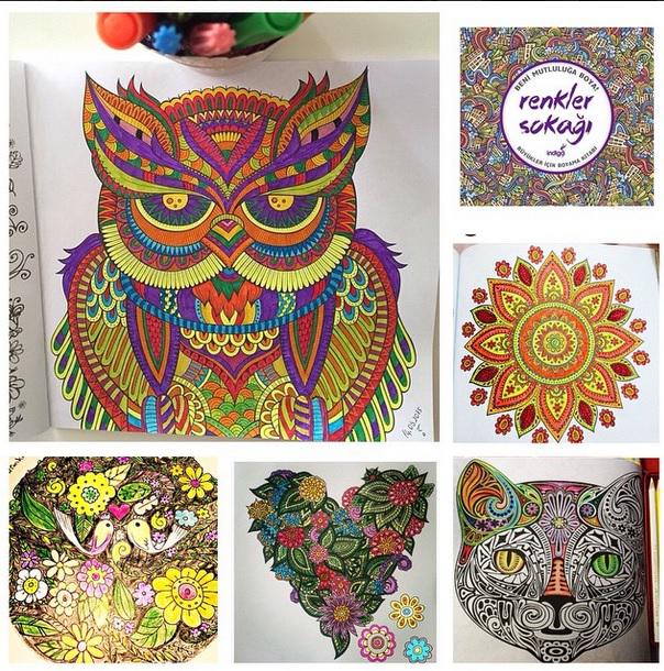 mpa2017's tweet image. #renklersokagi #renklerindünyası #indigokitap #büyükleriçinboyama #benimutluluğaboya #bahçe#mutluyumçünkü