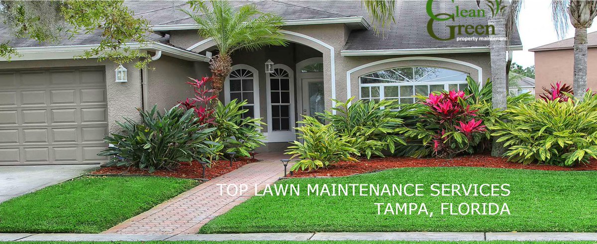 MyCleanGreen's tweet image. Looking for lawn maintenance service in Tampa, FL? @MyCleanGreen Lawn provides superior service.!!

#LawnMaintenance