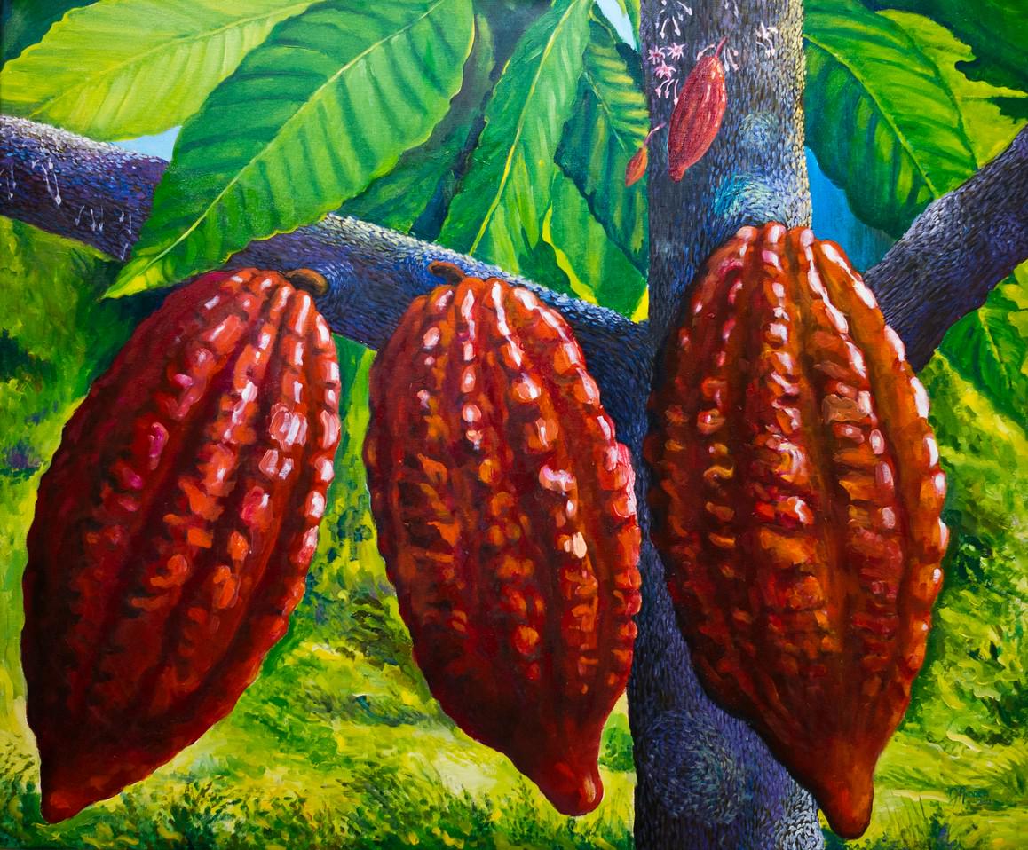 ArteJuanAndara's tweet photo. En #Vzla producimos el mejor cacao del mundo.Cacaos de Chuao óleo/lienzo Colección #CacaosdeVenezuela #ArteJuanAndara http://t.co/dhUa6fe1XW