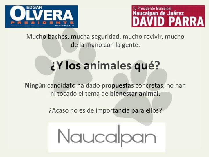 A_BrianLopez's tweet photo. @vhga10 @alejandrux1315 @navarrete_rodo @EdgarOlveraMX @SoyNaucalpan @Satelite_Amigos @amarillo_anar @AlejandraaMatee http://t.co/THqeNnUosk