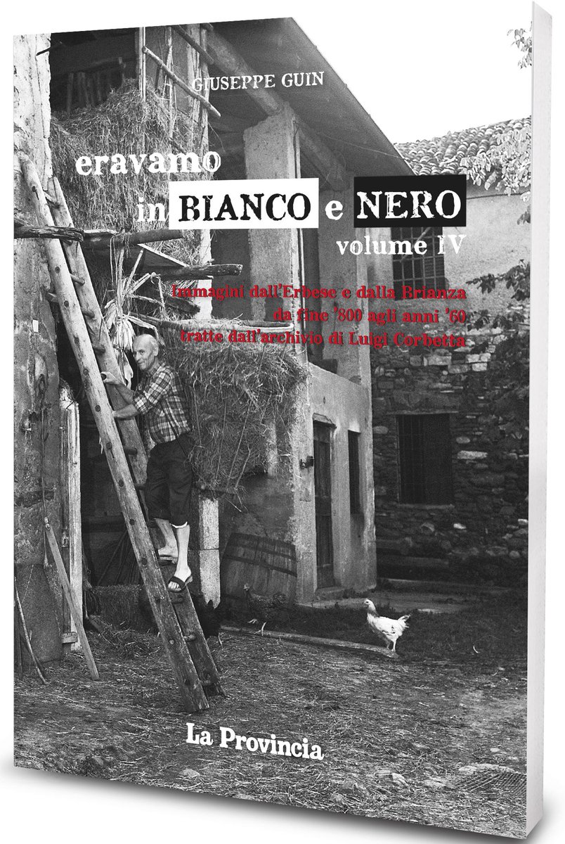 giuseppe guin tweet media