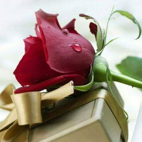 coffeebreak12's tweet photo. RT @MamsiRamzi https://t.co/0oAWwQoYXI