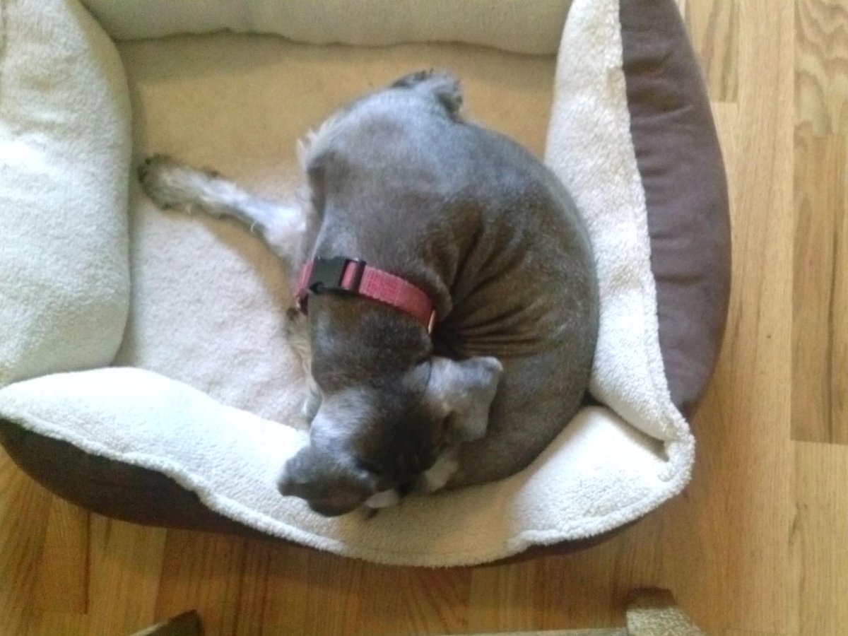 therealkarlbark's tweet photo. Posterior analytics. @Aristotle http://t.co/zBzV8OaEIy