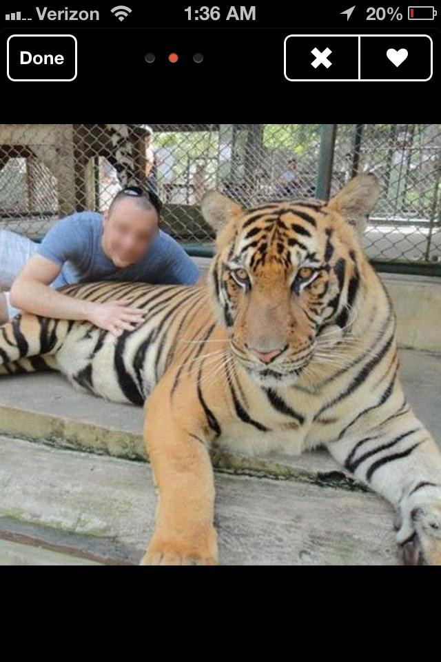 How Many Of These Weird Things Have You Seen From Men On <a href="/Tinder/">Tinder</a> ?buzzfeed.com/remeepatel/sto… <a href="/BuzzFeedUK/">BuzzFeed UK</a> <a href="/BuzzFeed/">BuzzFeed</a>