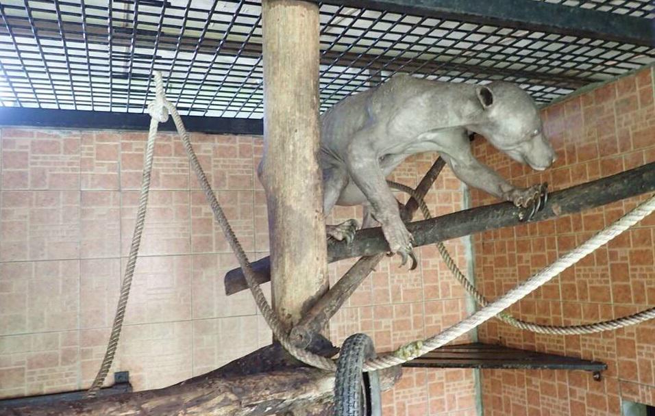 Embedded image permalink