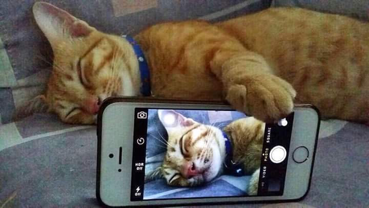 Akutweetfakkta's tweet photo. Before sleep let's selfie! http://t.co/SFTGh2NBw7