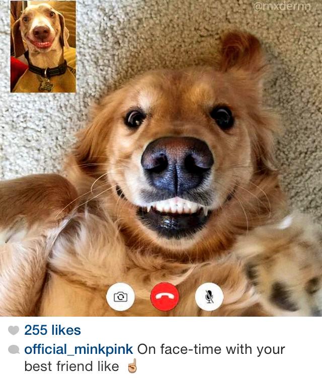 sara_louise_ash's tweet photo. This is literally us all the time 😂 @g_middlehurst #LongDistanceRelationshipProbs http://t.co/m6HIKGBEs1