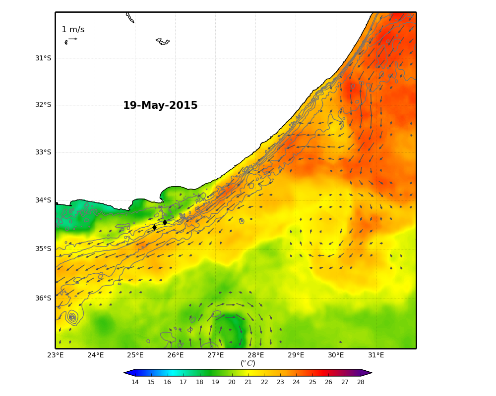 The #robots are in for quite a ride! A mega Agulhas current meander is approaching #seagliders.
plot via Dr M. Krug