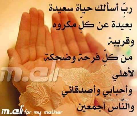 halal1234123's tweet photo. http://t.co/8JThl78uEq