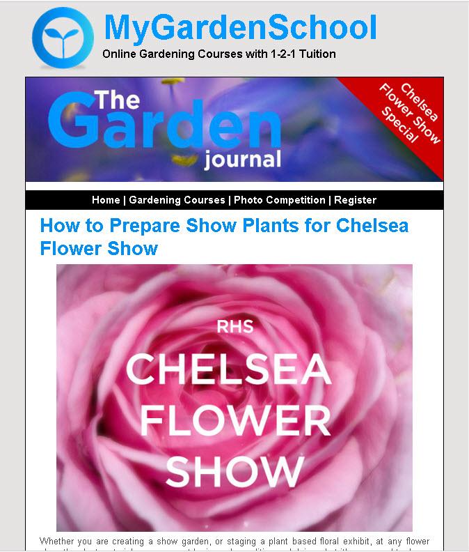 Garden_Courses's tweet photo. The Garden Journal: @The_RHS Chelsea Flower Show Special is OUT NOW via @MyGardenSchool http://t.co/TrcqDNLPOk http://t.co/GAxgqEkuss