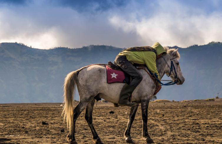 Sit tight, you're half way through the week! A great entry to the 2015 comp by Amri Arfianto cbreupoty.com