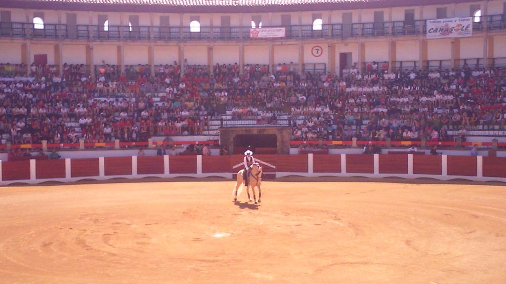 JtaurinaBrozas's tweet photo. Asi luce la Era de los Mártires. Diego Ventura explica a los niños los tercios del rejoneo lidiando dos vacas. http://t.co/Mk1i3mC0C5