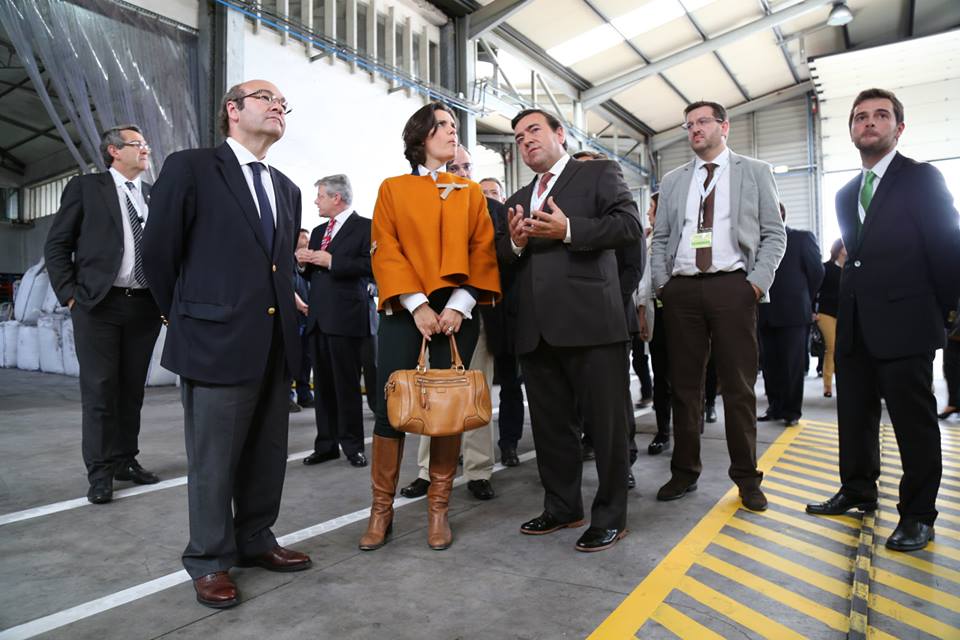 Ibero Massa Floresta tweet media