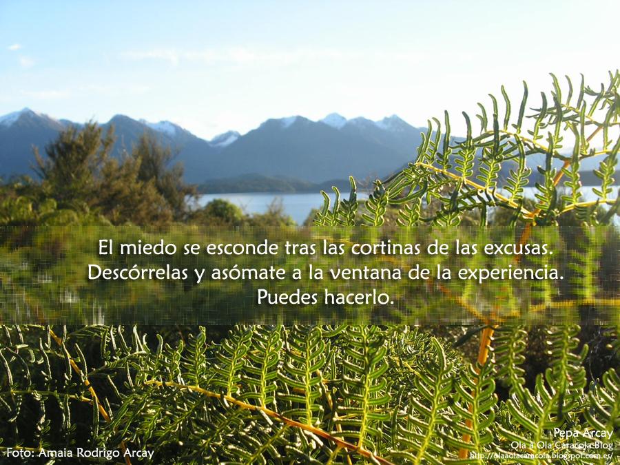 OlaAOlaCaracola's tweet photo. No digas que no sabes lo que quieres cuando sabes que lo que tienes es miedo de no lograrlo. http://t.co/rfsOxNw0St http://t.co/zdVZcufg2Y